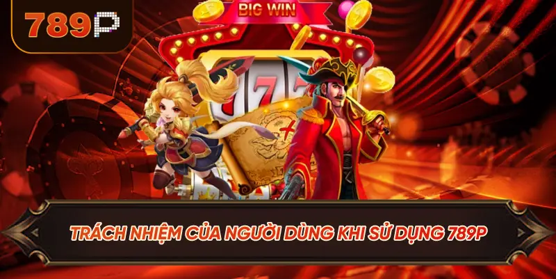 Trách Nhiệm Của Người Dùng Khi Sử Dụng 789P